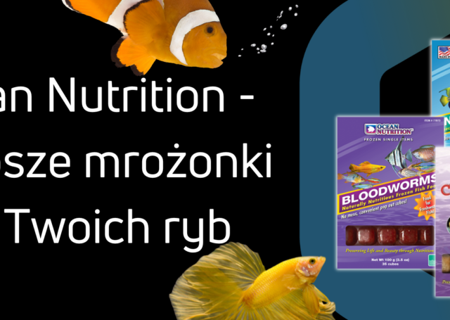 Ocean Nutrition mrożonki