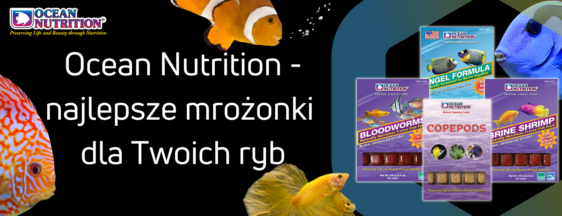 Ocean Nutrition mrożonki