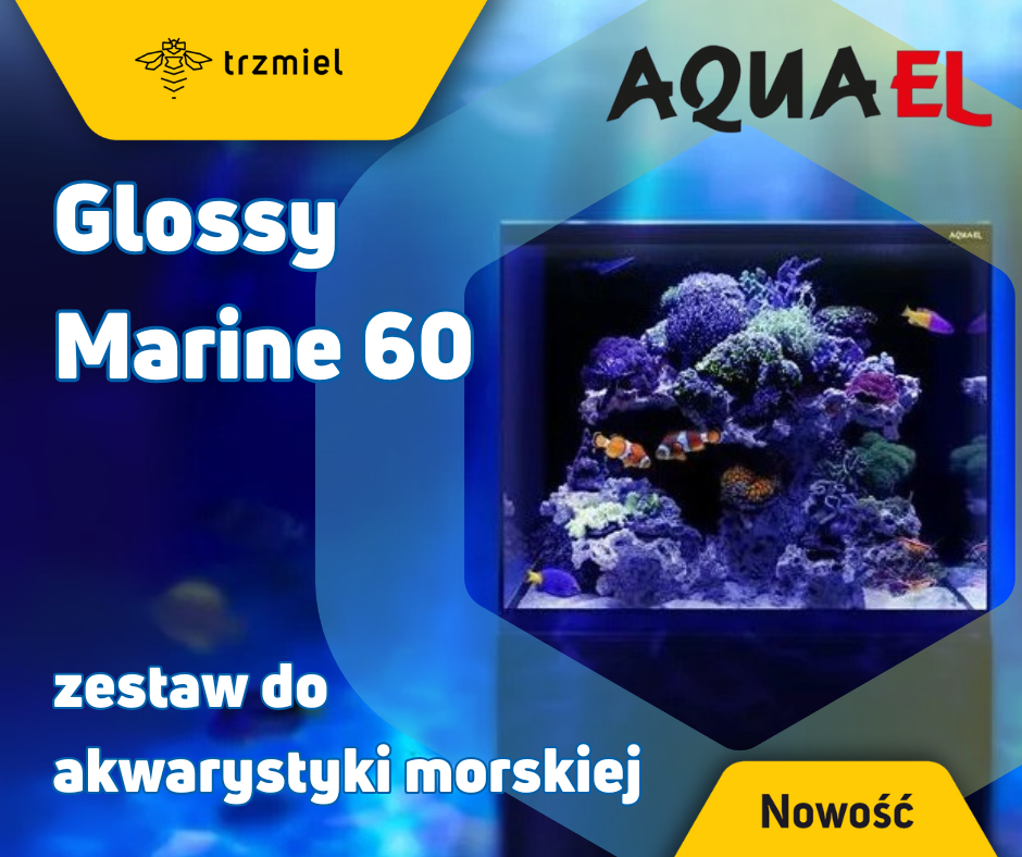 Zestaw do akwarystyki morskiej AQUAEL Glossy Marine 60 to nowość w ofercie polskiego producenta
